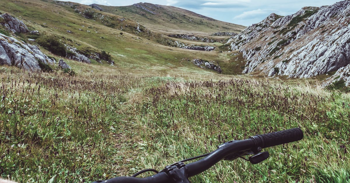 descubre la emoción del ciclismo de montaña, donde la aventura y la naturaleza se unen. explora senderos impresionantes y desafía tus límites en emocionantes recorridos.