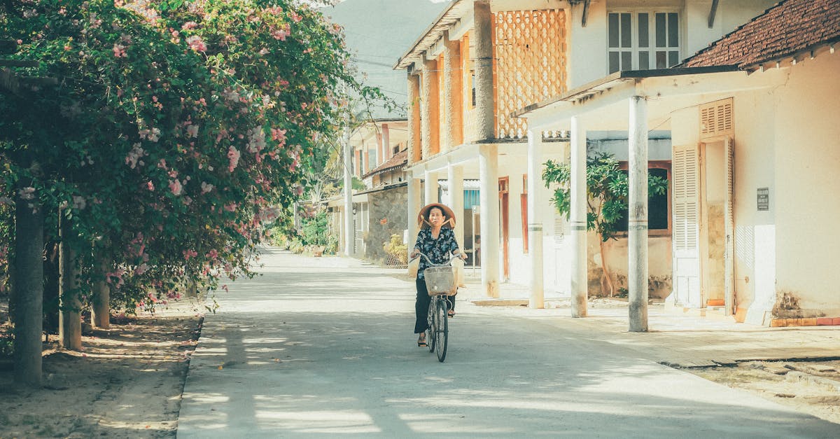 descubre a los mejores entrenadores de ciclismo que te ayudarán a mejorar tu rendimiento, técnica y estrategia en las rutas. ¡potencia tus habilidades sobre la bicicleta con nuestros expertos!