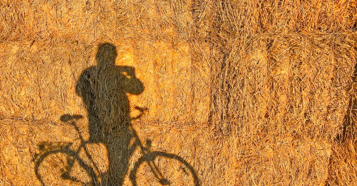 descubre nuestra emocionante carrera de ciclismo, diseñada para ciclistas de todos los niveles. únete a la aventura, mejora tu resistencia y disfruta de paisajes impresionantes mientras compites con otros apasionados del ciclismo. ¡inscríbete ahora y vive la experiencia sobre dos ruedas!