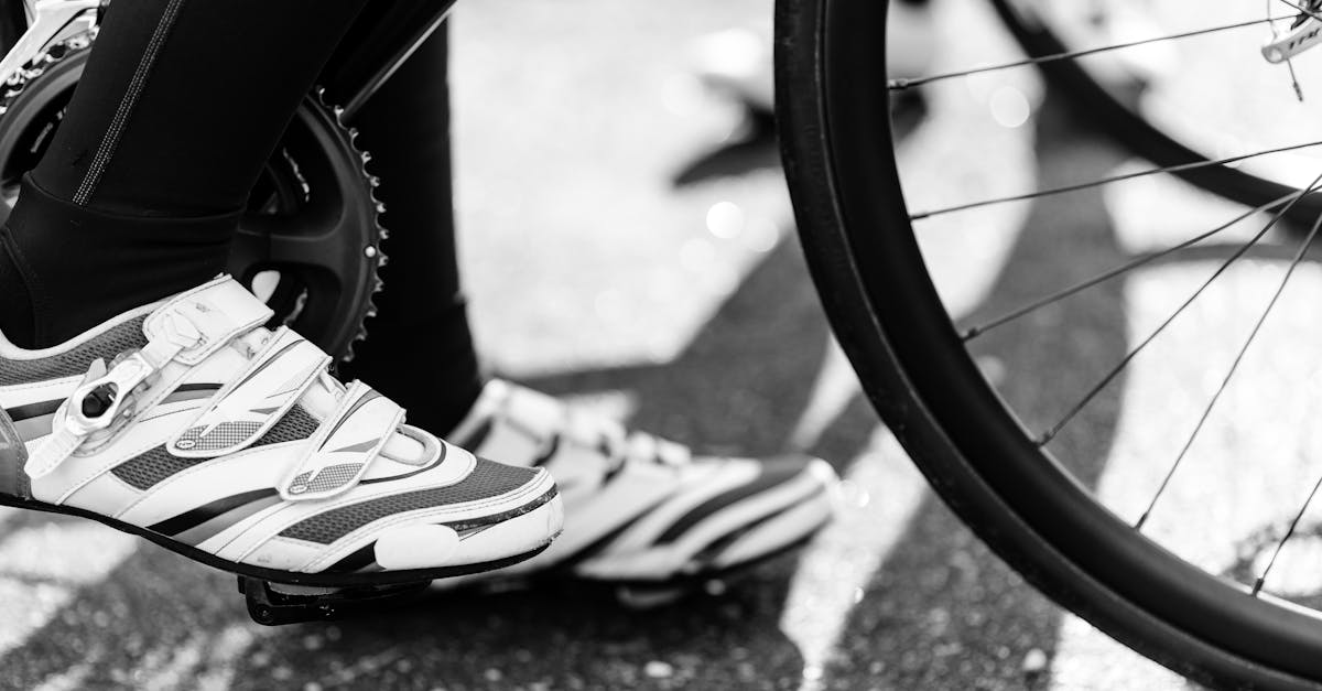 descubre nuestras zapatillas de ciclismo, diseñadas para ofrecer máximo confort y rendimiento en cada pedaleada. encuentra el par perfecto para tus rutas y mejora tu experiencia sobre la bicicleta.