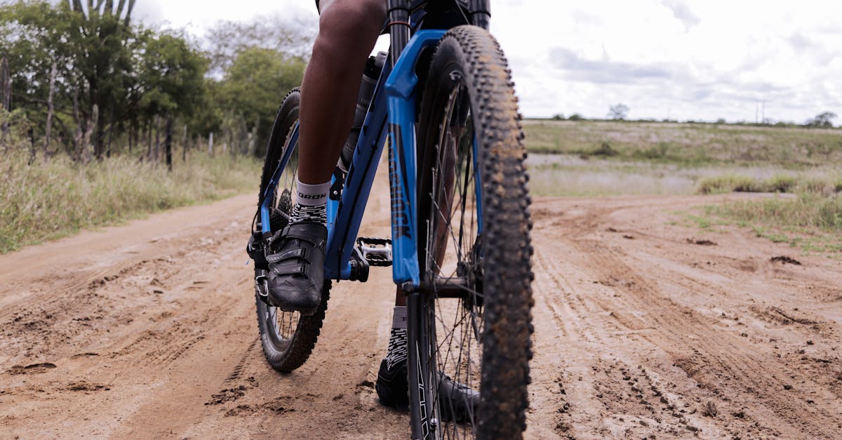 descubre nuestras zapatillas de ciclismo, diseñadas para ofrecer comodidad y rendimiento en cada pedaleo. perfectas para ciclistas aficionados y profesionales, aseguran un ajuste óptimo y un estilo inigualable. ¡mejora tu experiencia sobre la bicicleta hoy!