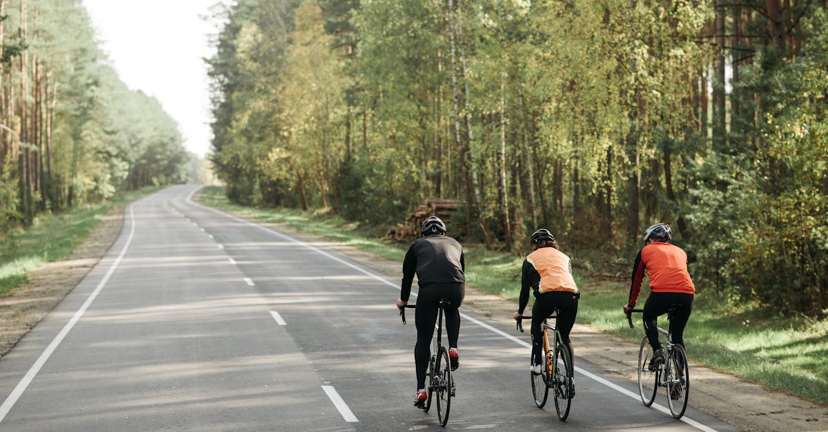 optimiza tu rendimiento con nuestros entrenamientos de ciclismo. aprende técnicas efectivas, mejora tu resistencia y supera tus metas en cada ruta.