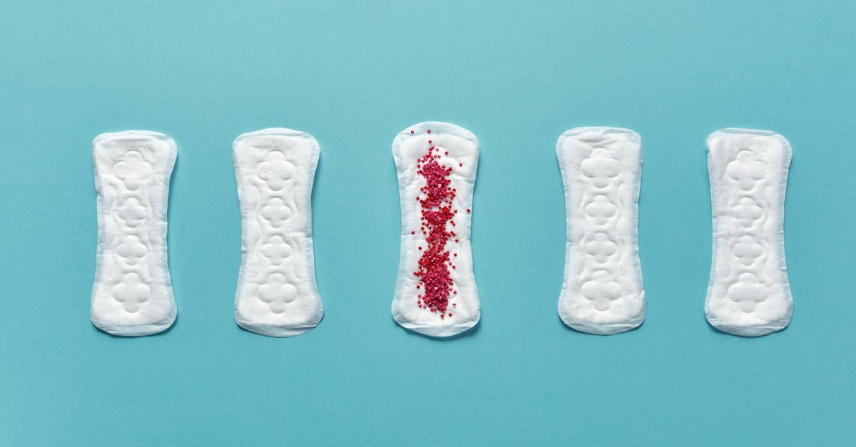 descubre todo sobre el ciclo menstrual: su fase, duración, síntomas y cómo afecta la salud de las mujeres. infórmate sobre tu cuerpo y aprende a gestionar mejor tu bienestar menstrual.