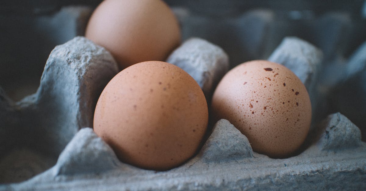 descubre todo sobre las proteínas: su importancia en la nutrición, fuentes alimenticias, beneficios para la salud y consejos para una ingesta adecuada.