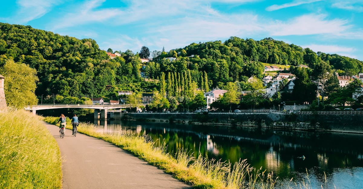 descubre las mejores rutas en bicicleta para disfrutar de la naturaleza y la aventura. explora paisajes impresionantes y vive experiencias únicas sobre dos ruedas.