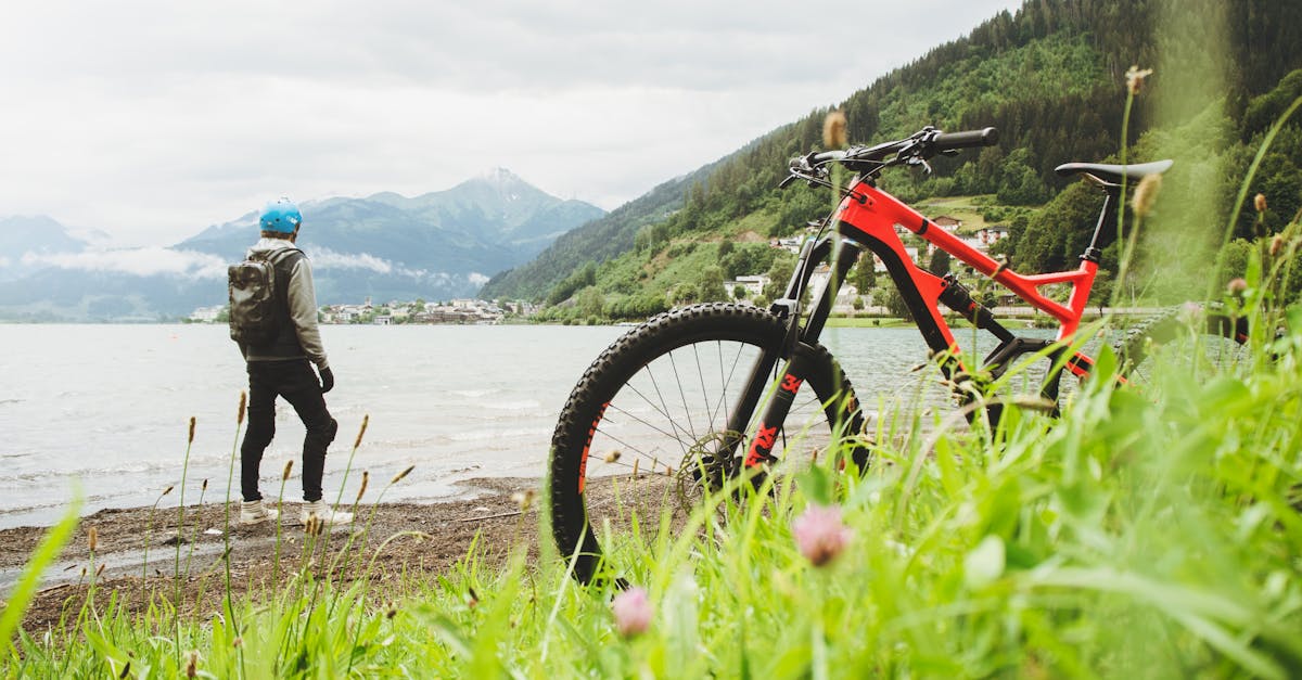 descubre el emocionante mundo del ciclismo: consejos, rutas, entrenamientos y más para disfrutar de cada pedalada. únete a la comunidad de amantes de las bicicletas y mejora tu experiencia sobre dos ruedas.