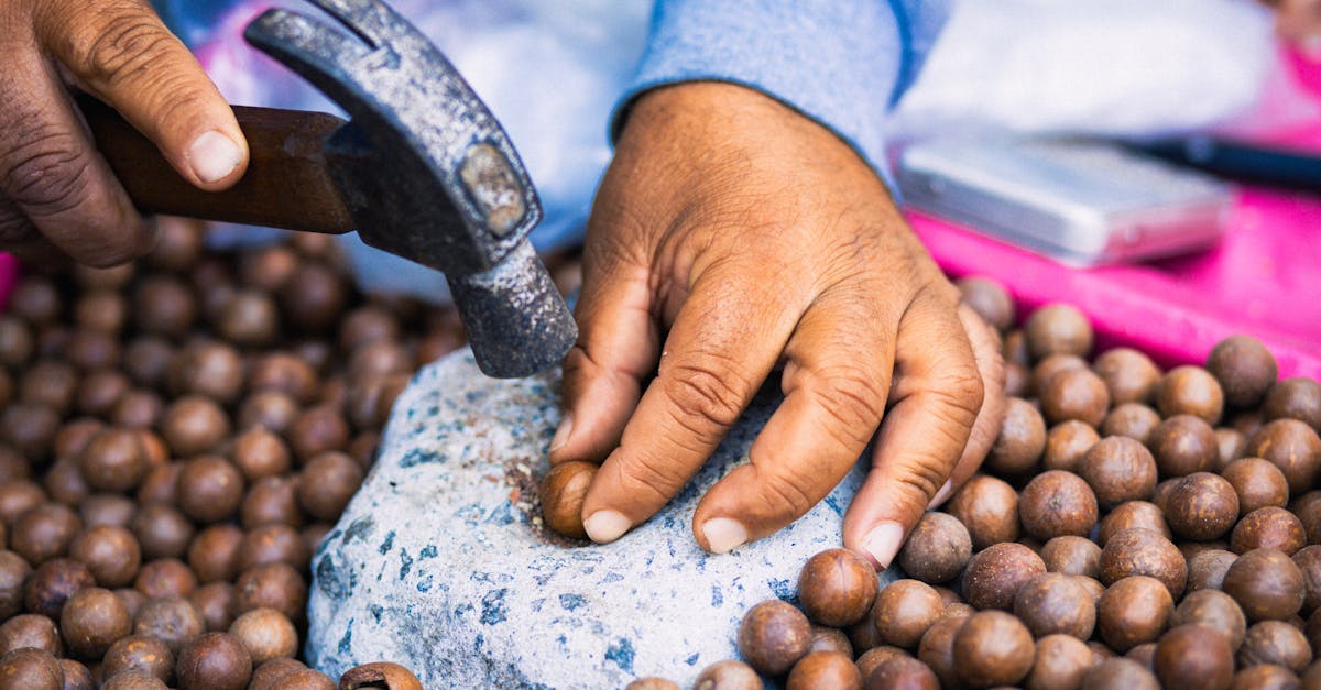 descubre cómo una dieta adecuada puede potenciar tu rendimiento en el ciclismo. aprende sobre los mejores alimentos, estrategias nutricionales y consejos para ciclistas que buscan optimizar su energía y resistencia durante las rutas.