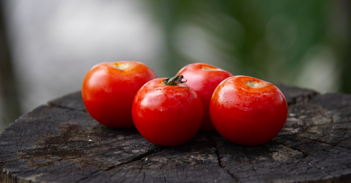 descubre cómo optimizar tu rendimiento con la nutrición adecuada para ciclistas. aprende sobre las mejores estrategias alimenticias, suplementos esenciales y recetas energéticas para mantenerte en forma durante tus recorridos en bicicleta.