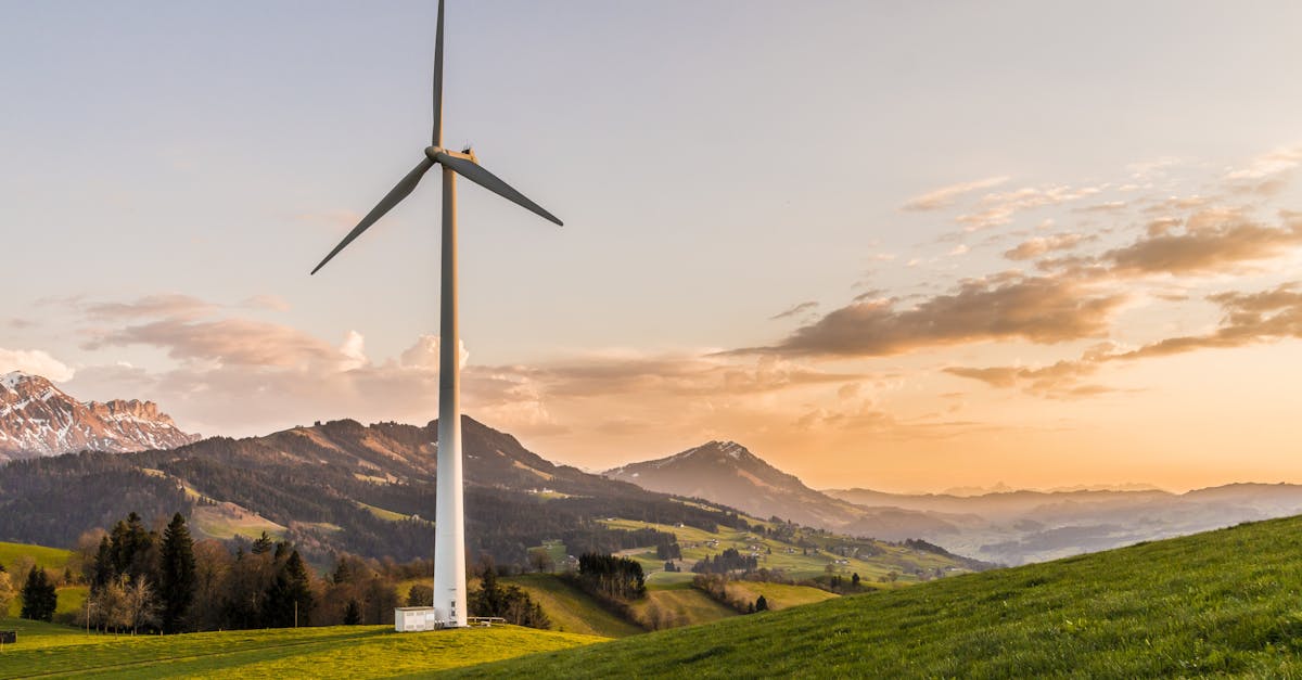 descubre el fascinante mundo de la energía, su importancia en nuestra vida diaria y cómo las fuentes renovables están transformando nuestro futuro. explora la ciencia detrás de la energía y sus aplicaciones en la sostenibilidad.