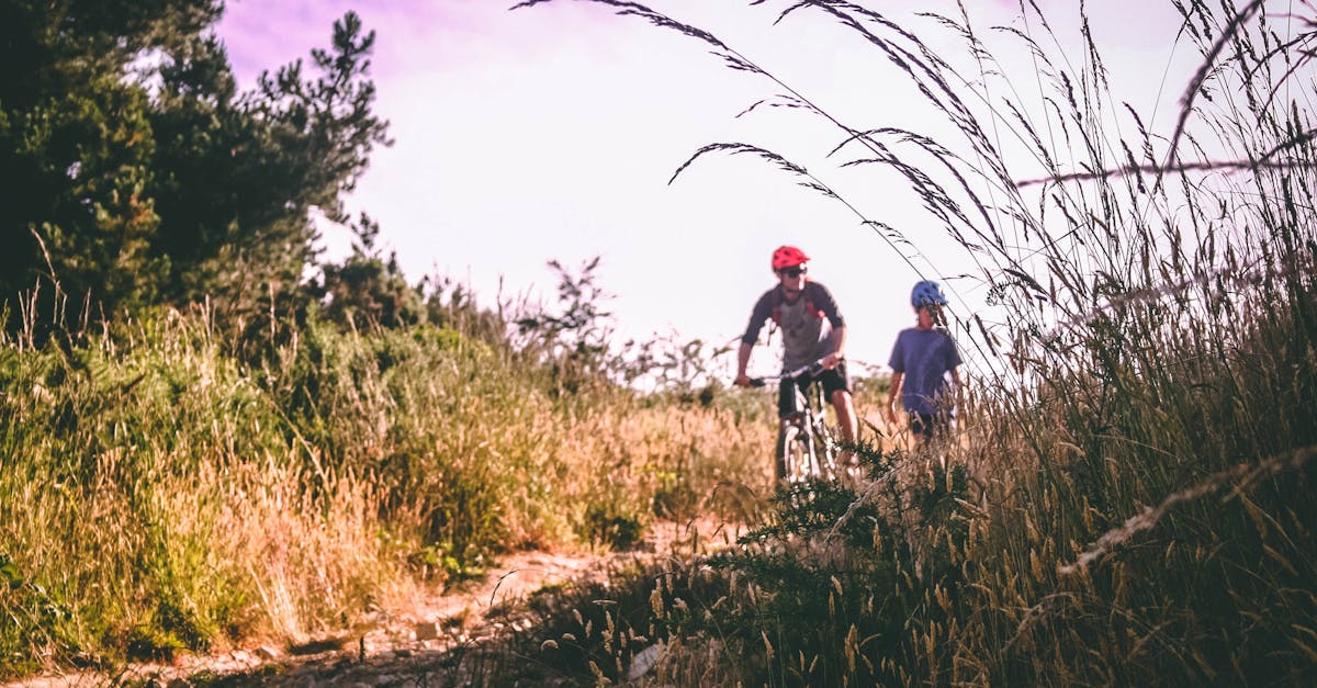 descubre la emoción del mountain biking en paisajes impresionantes. adéntrate en la aventura sobre dos ruedas y disfruta de rutas desafiantes y vistas naturales excepcionales.