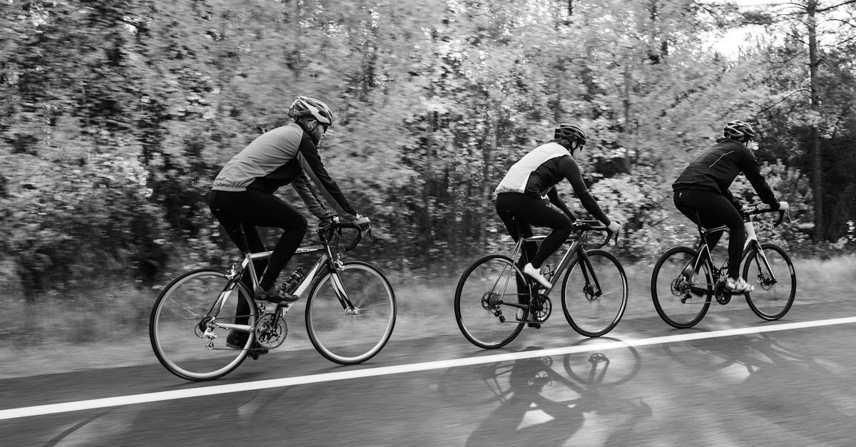 descubre las mejores rutas de ciclismo que te llevarán a través de paisajes impresionantes. ya seas principiante o experto, encuentra la ruta perfecta para disfrutar de tu pasión por el ciclismo.