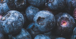 descubre el poder de los antioxidantes, compuestos esenciales que ayudan a combatir el daño celular y el envejecimiento. aprende sobre sus beneficios para la salud y cómo incorporar alimentos ricos en antioxidantes en tu dieta diaria.