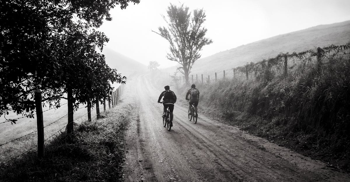 descubre el emocionante mundo del ciclismo: consejos, rutas, métodos de entrenamiento y todo lo que necesitas saber para disfrutar al máximo de tus paseos en bicicleta. únete a la comunidad ciclista y vive la libertad sobre dos ruedas.