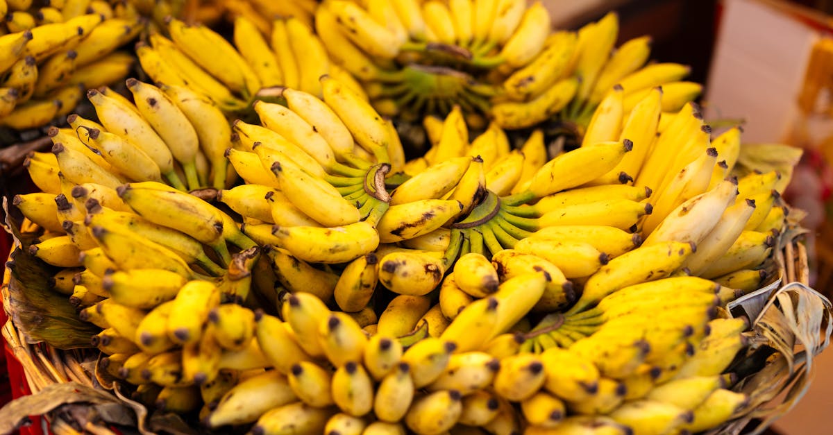 descubre cómo optimizar tu rendimiento en el ciclismo con una nutrición adecuada. aprende sobre los mejores alimentos y suplementos para mantenerte energizado durante tus rutas en bicicleta.