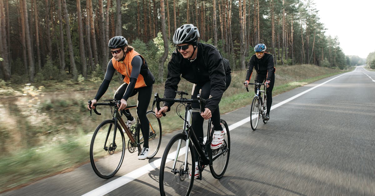 descubre las mejores rutas de ciclismo a través de paisajes impresionantes, ideales para ciclistas de todos los niveles. explora rutas en montaña, caminos rurales y senderos urbanos que te conectan con la naturaleza y la cultura local.