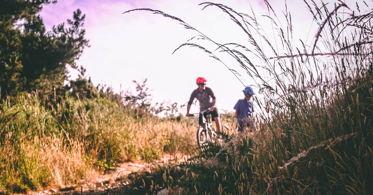 descubre la emoción del ciclismo de montaña: explora senderos desafiantes, disfruta de paisajes impresionantes y vive aventuras al aire libre en cada recorrido.